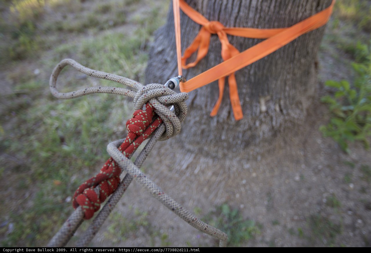 Tethered to Nature