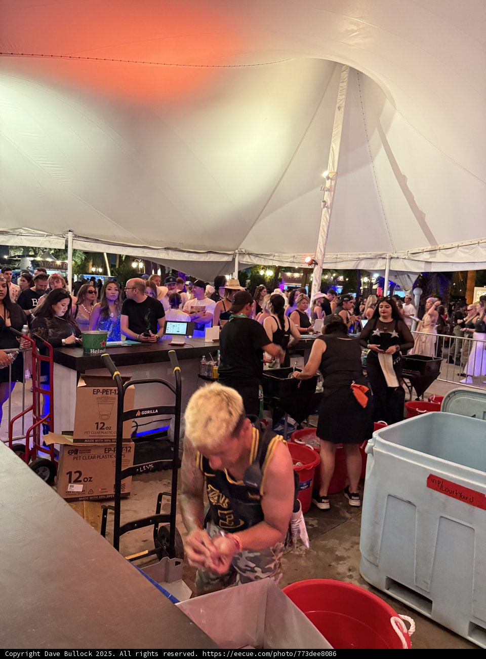 Nightlife Buzz at Empire Polo Club
