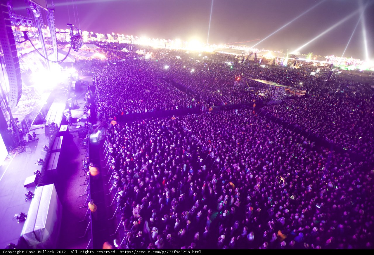 Electric Night