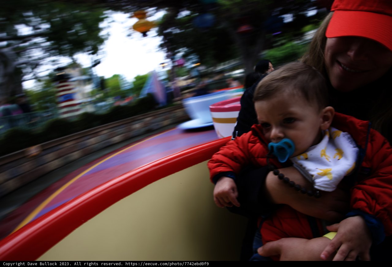 Magical Moments at Disneyland