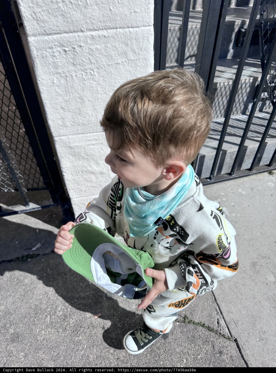 Wesley's Green Adventure in the Golden City