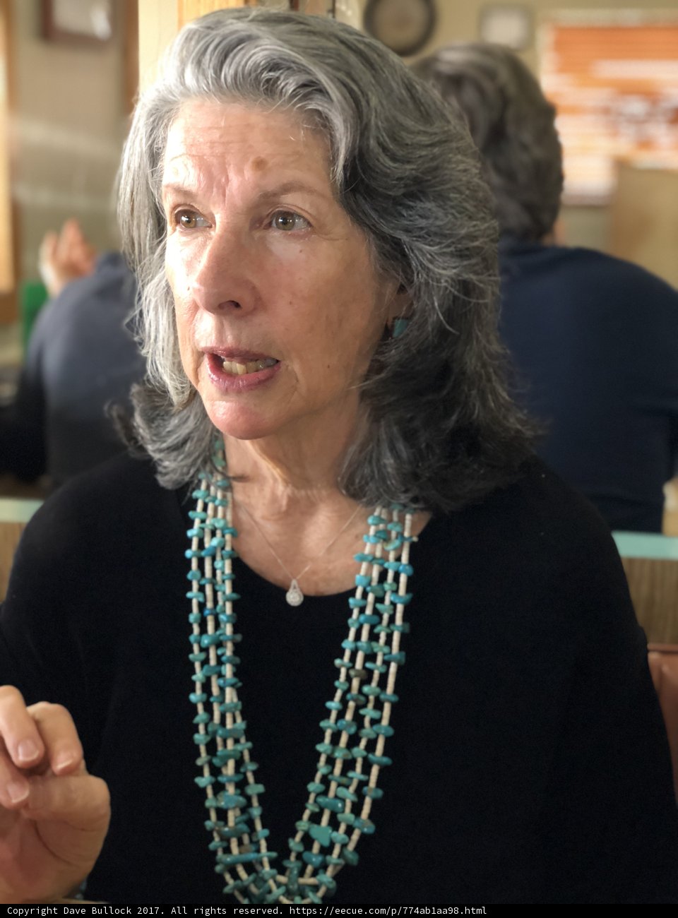 Gray-haired Woman with Ornate Necklace