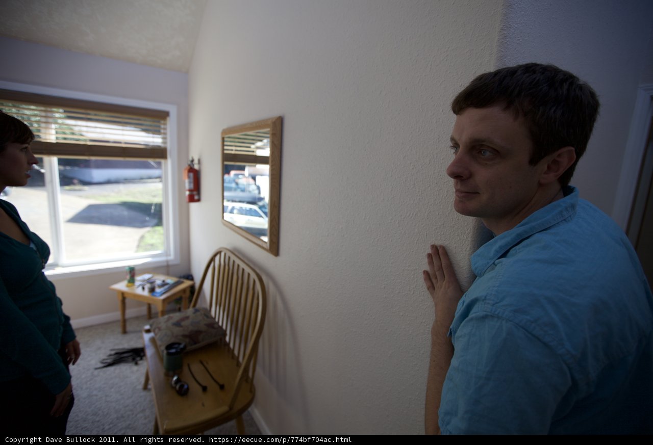 Man Reflects in Living Room Mirror