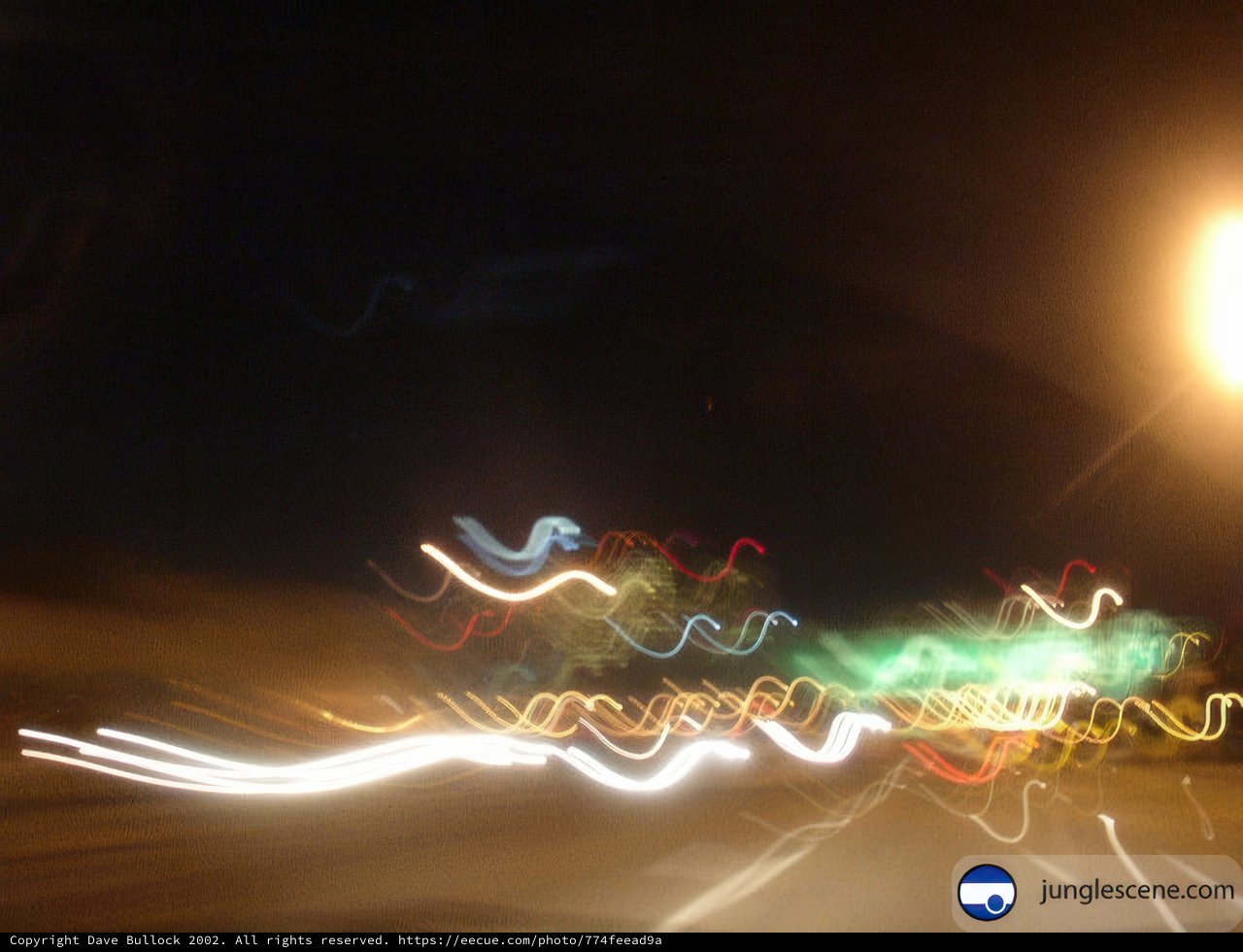 Blurry Nighttime Delight
