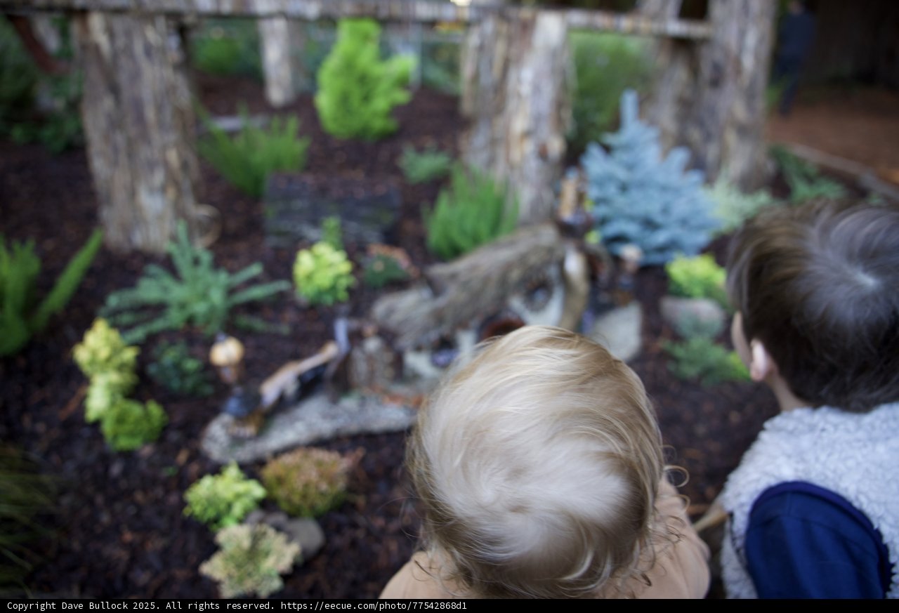 Exploring Thistlewyck's Enchanted Gardens