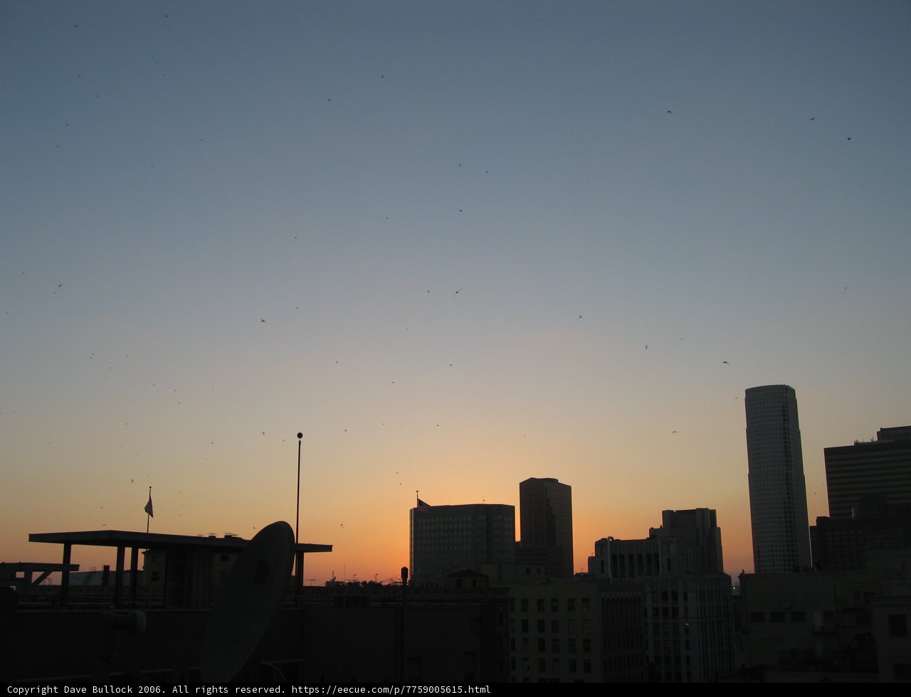 City Sunset Silhouette