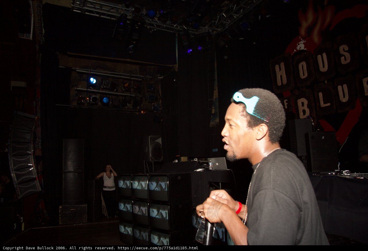 Spotlight on the Entertainer