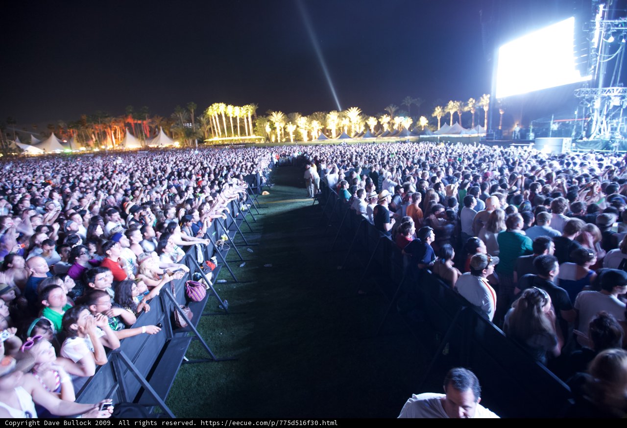 Night Sky Concert Crowd