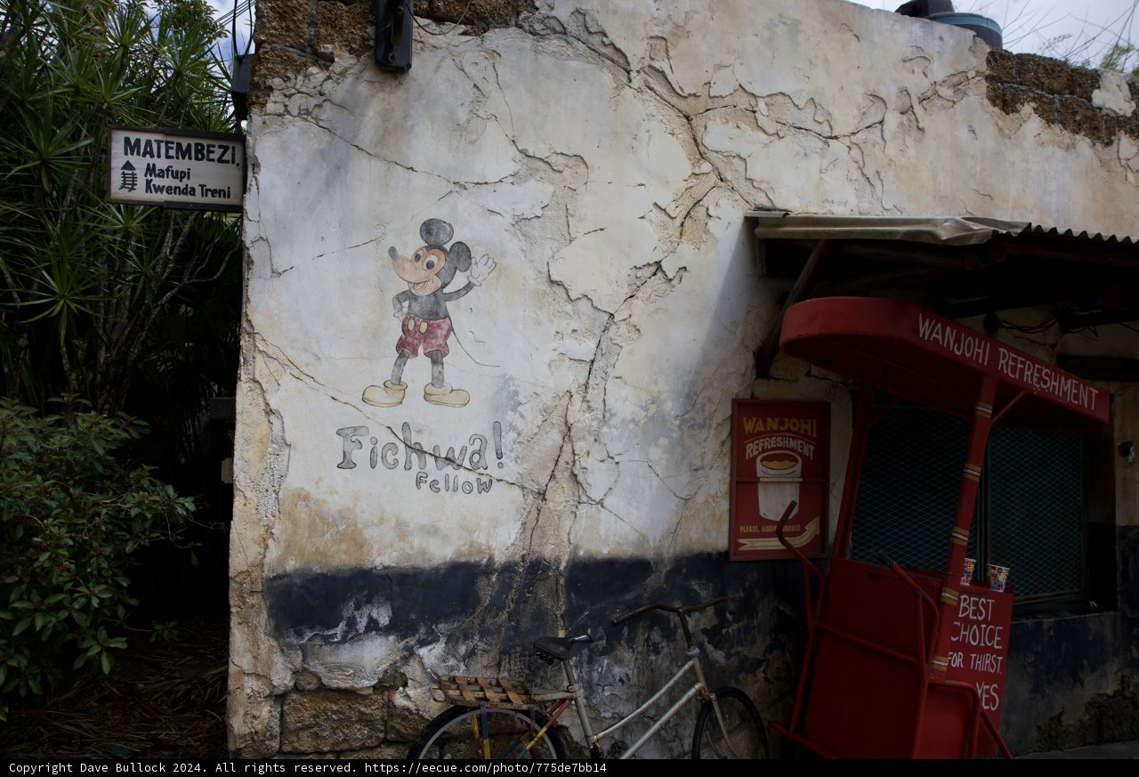 An Interplay of Imagination and Reality at Disneyland