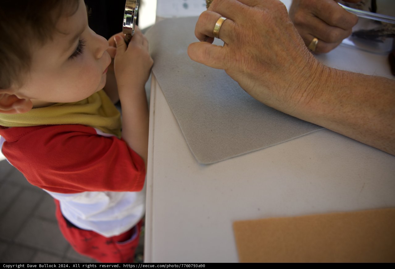 Curious Moments on Wesley's 2nd Birthday