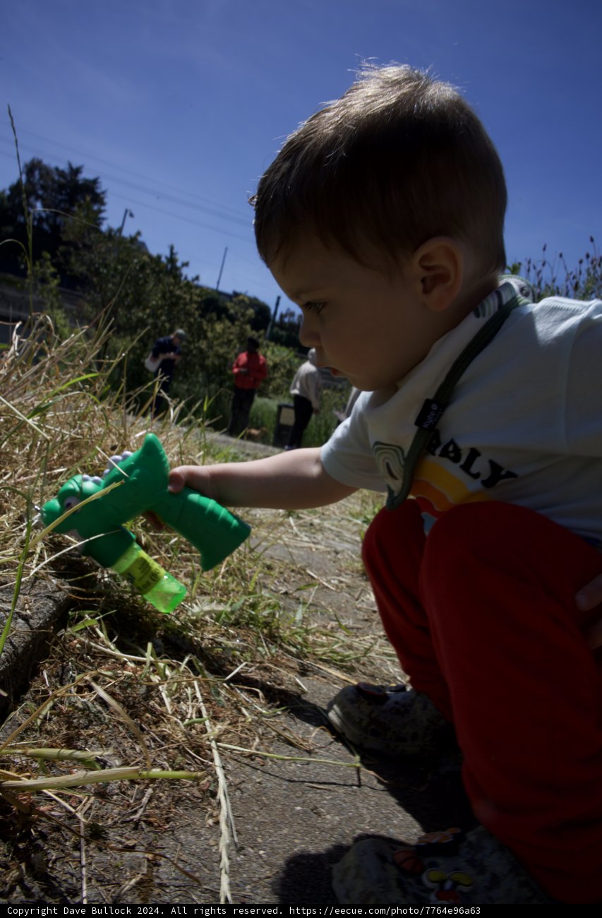 Young Explorer at Play