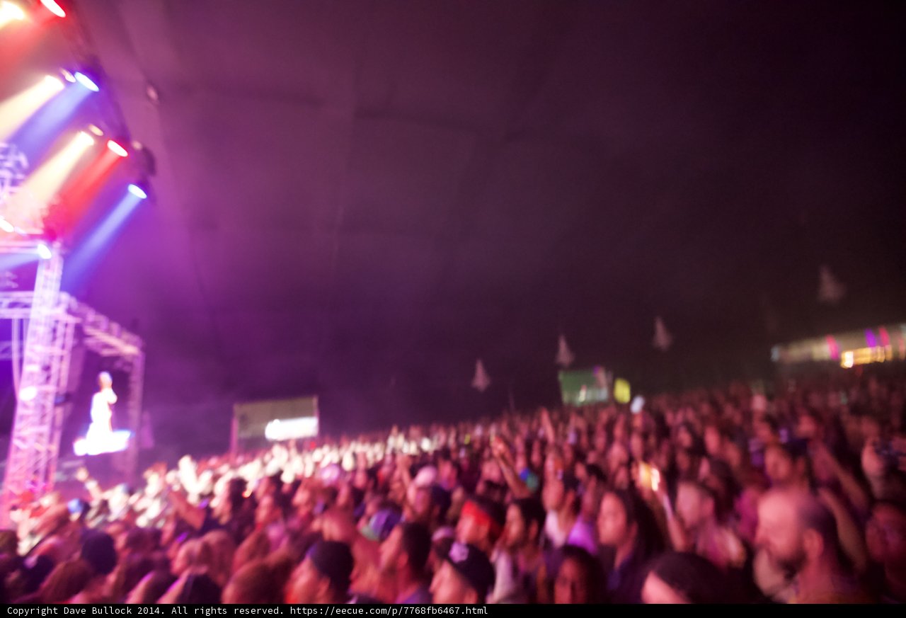 Electrifying Crowd at Coachella Concert