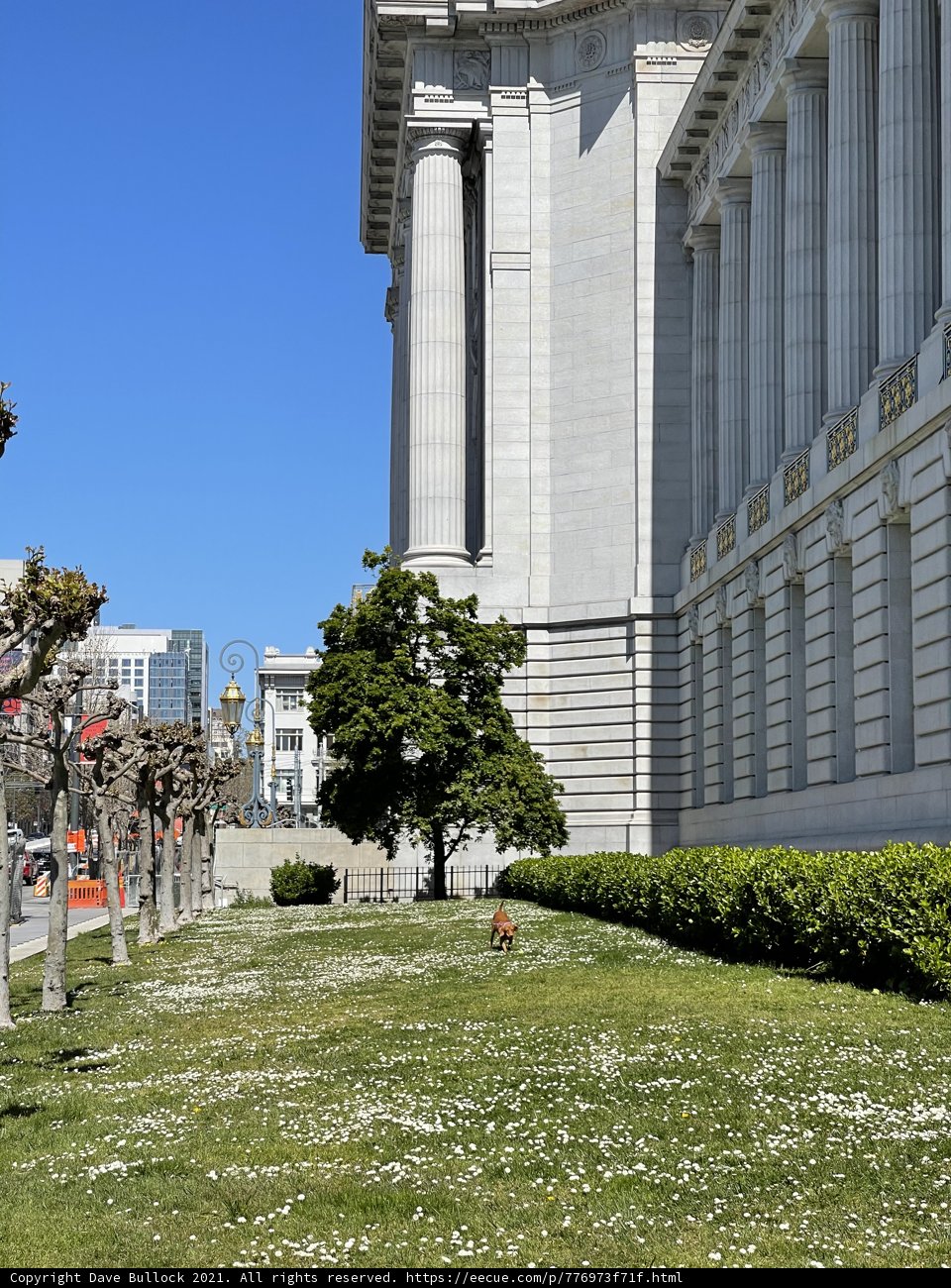 Majestic City Hall in San Francisco