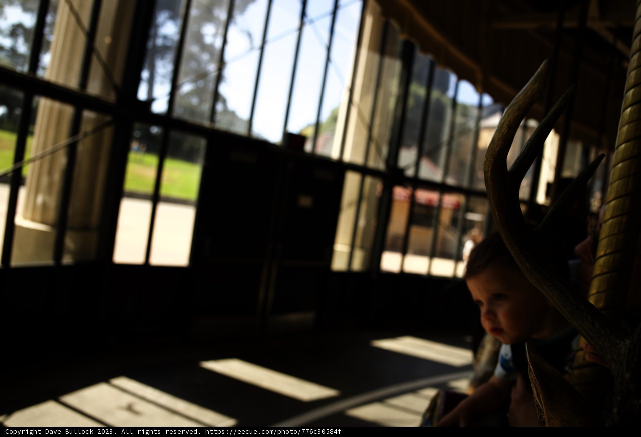 Carousel Magic in Golden Gate Park, 2023