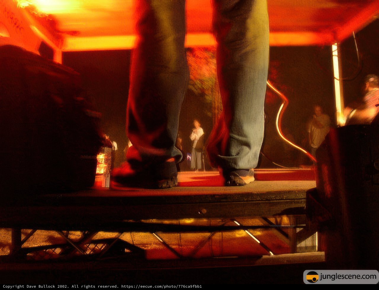 Night Club Concert Crowd