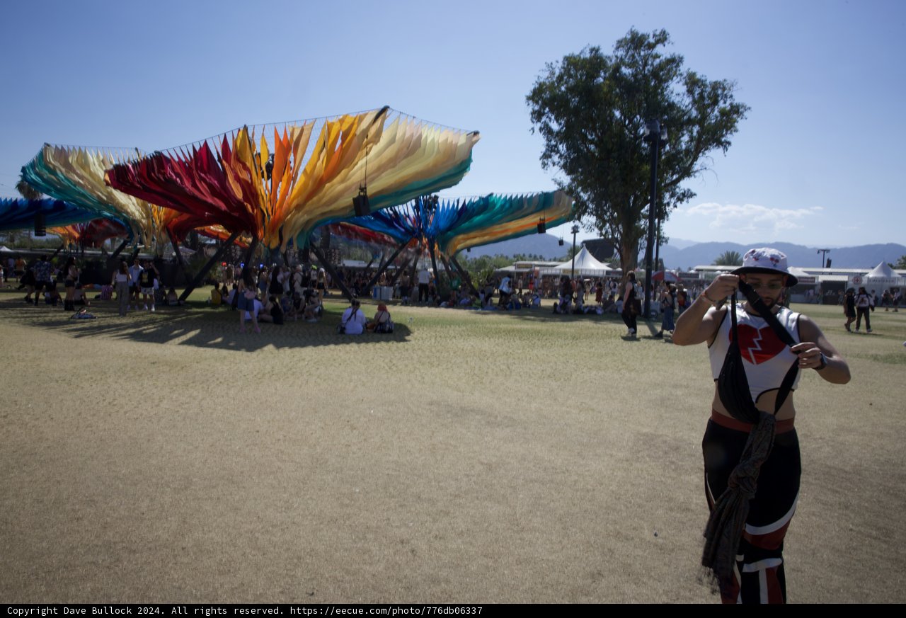 Spectrum of Celebration: Coachella 2024 in Colors