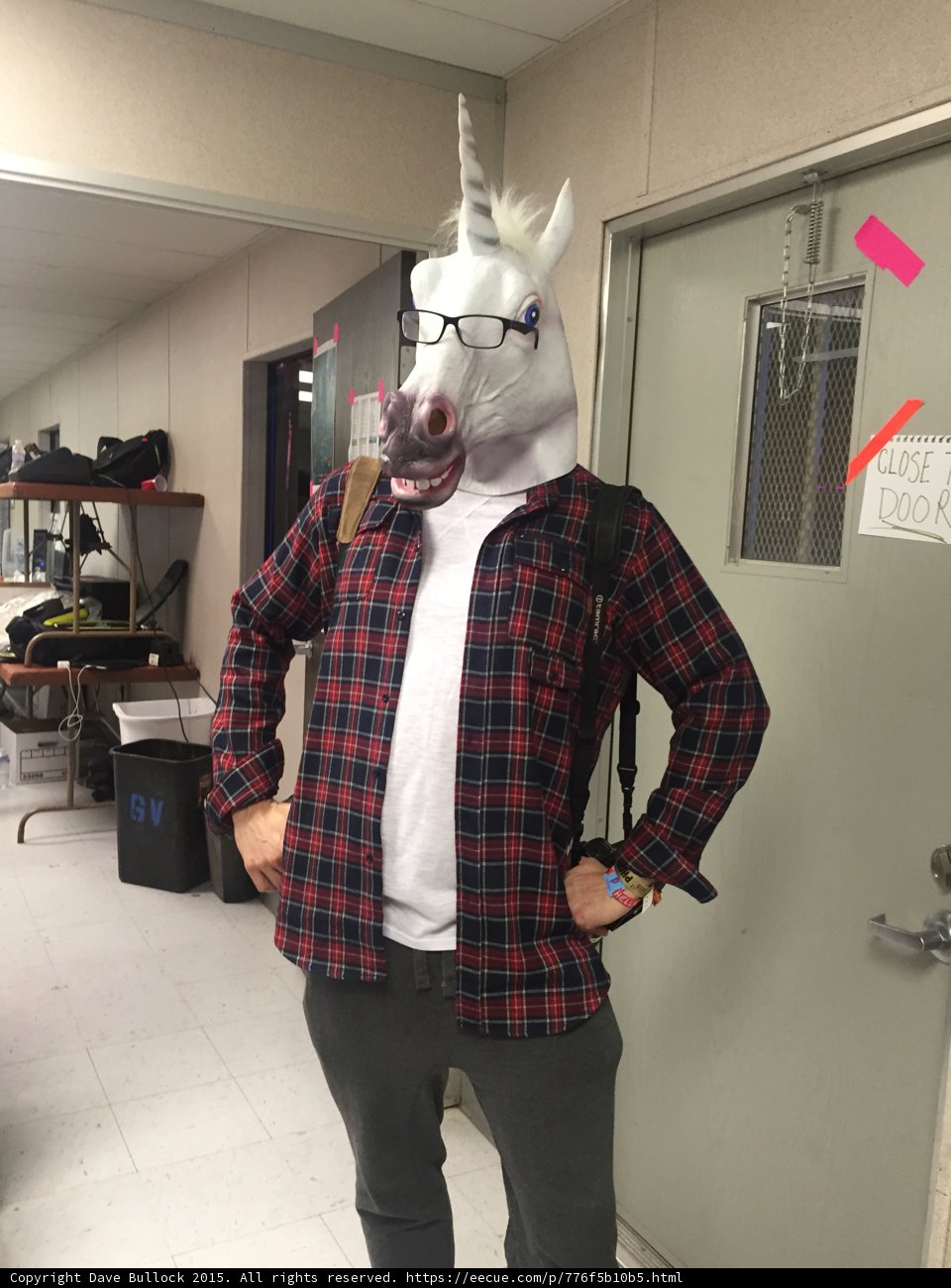 Hipster Unicorn