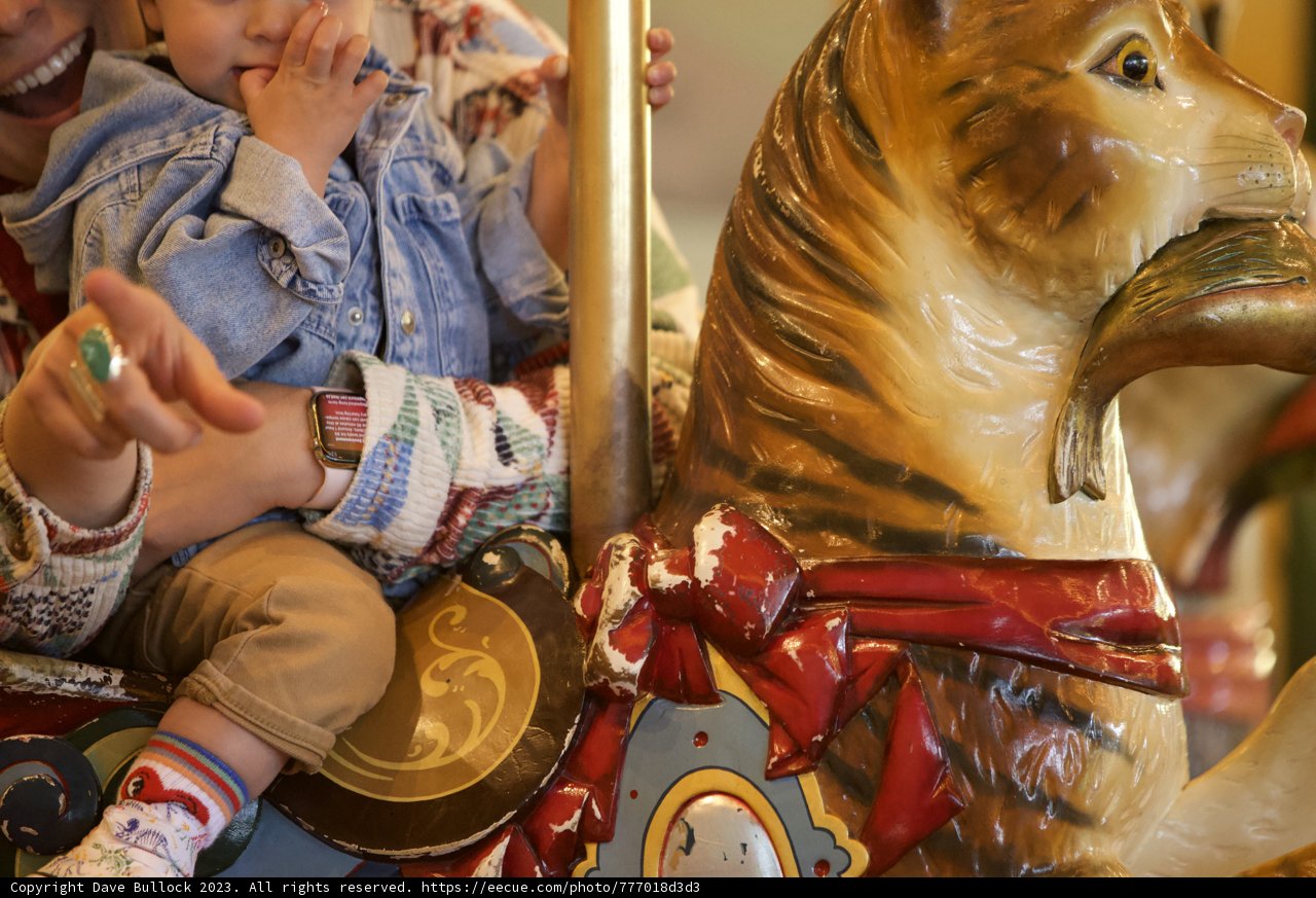 Carousel Charming: A Mother-Child Bonding at SF Zoo