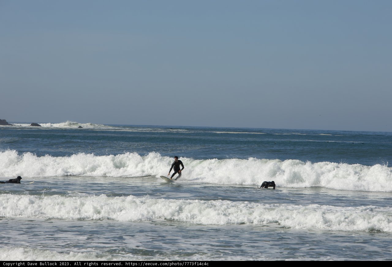 Riding The Pacific Waves: A Surfer's Tale