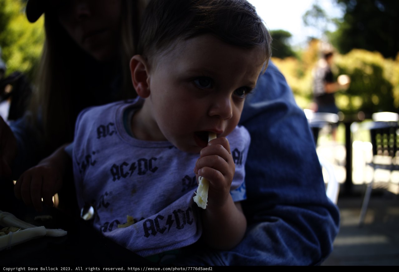 Baby's First Taste