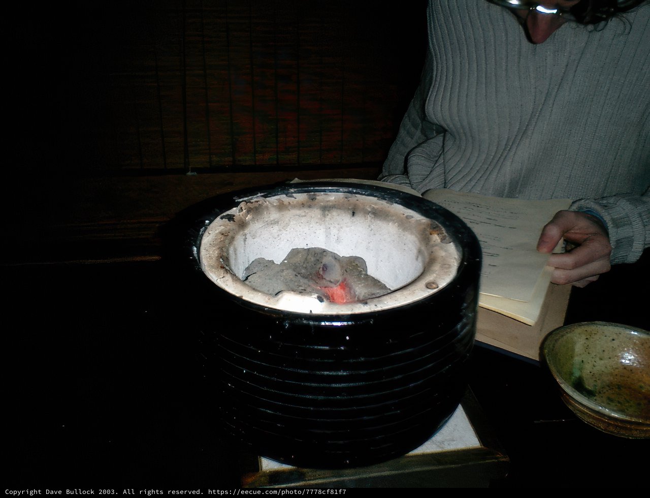 Dining with a Feathered Friend