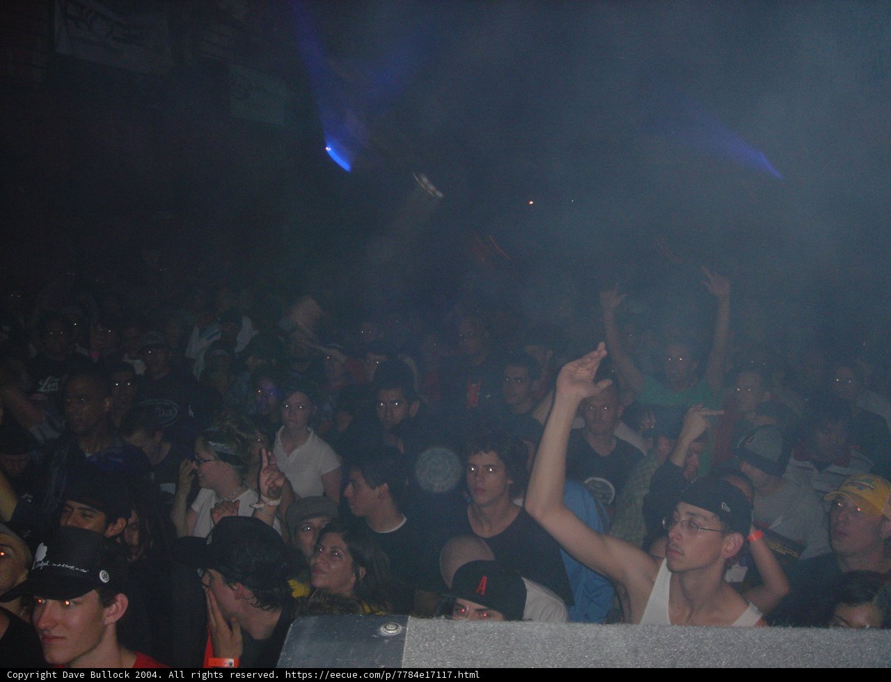 Nightclub Crowd