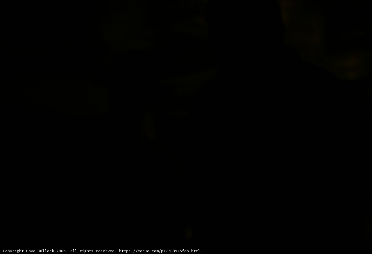 The Vigilant Silhouette