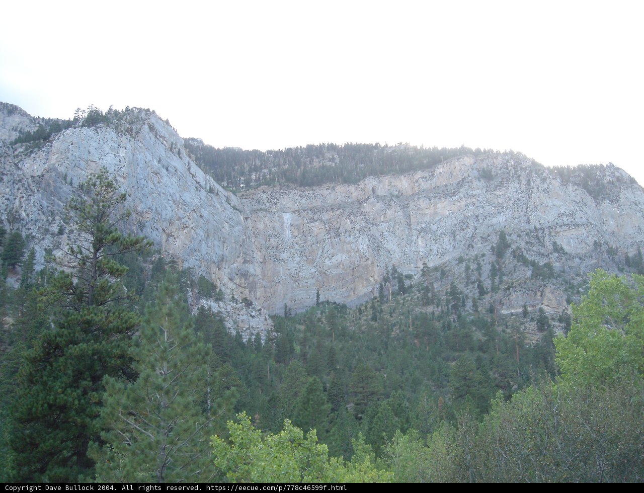 Majestic Mountain View