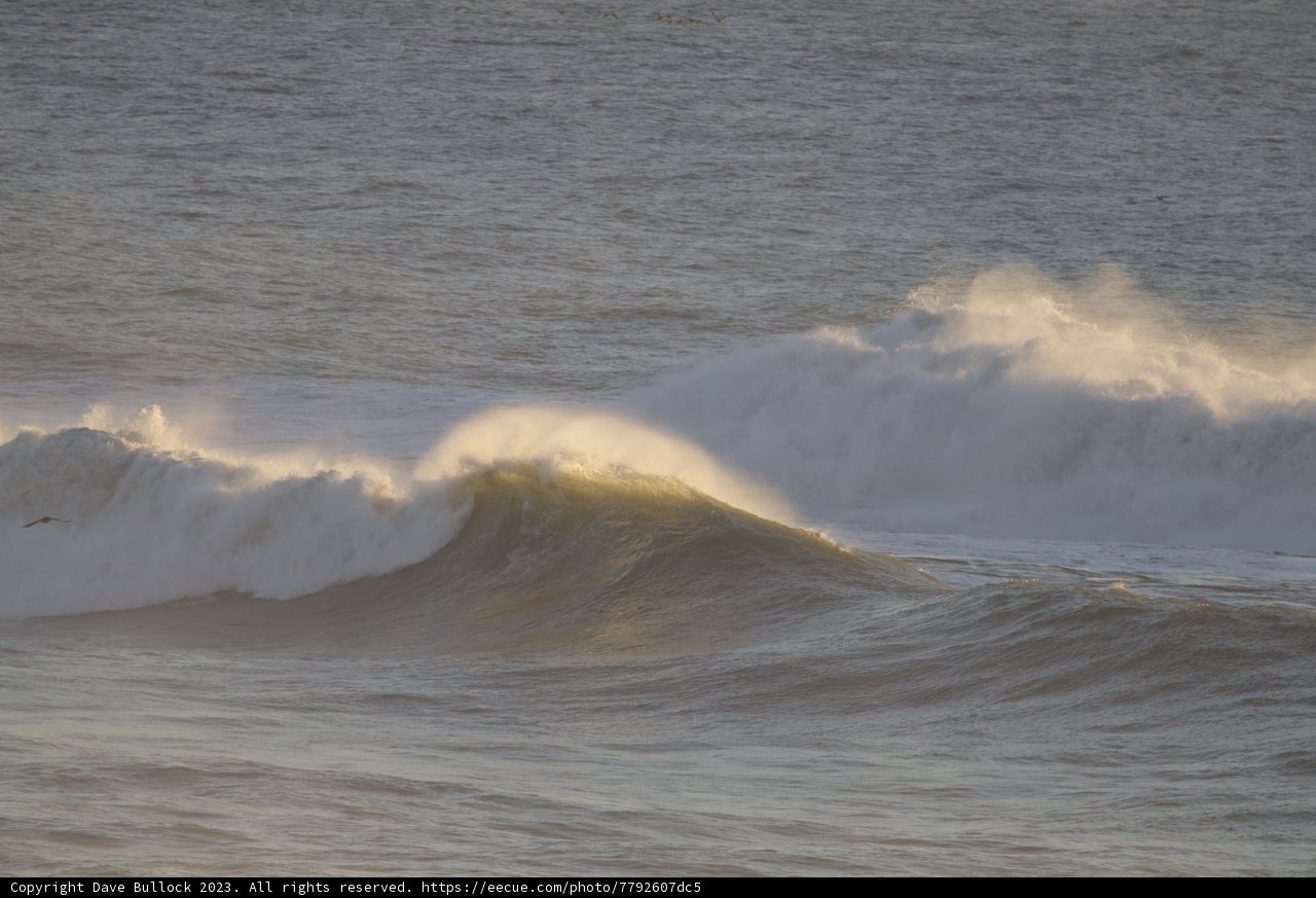 Embracing the Sea's Challenge