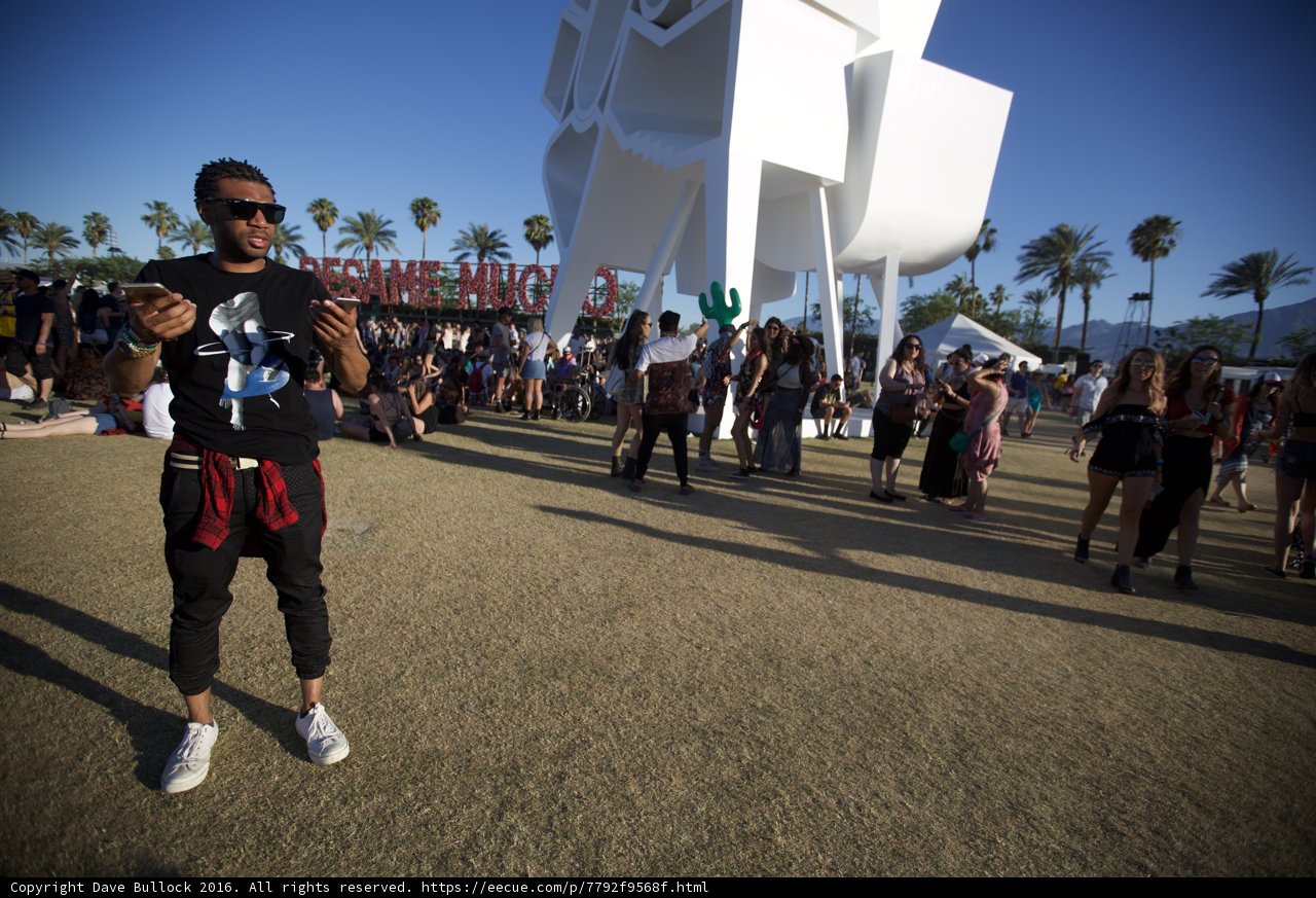 Man in Black Shirt Admiring Sculpture in Coachella