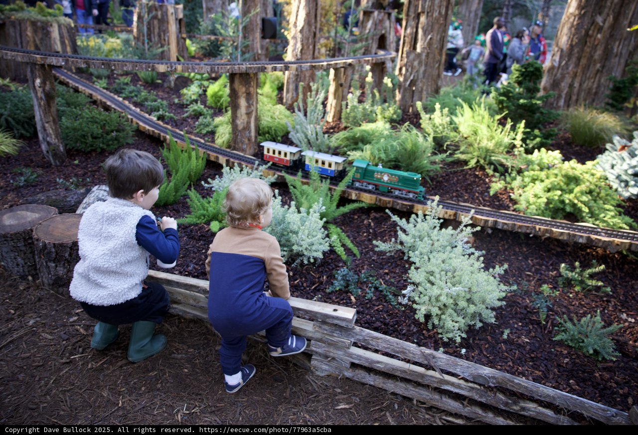 Wesley and Leland's Enchanted Train Journey at Filoli