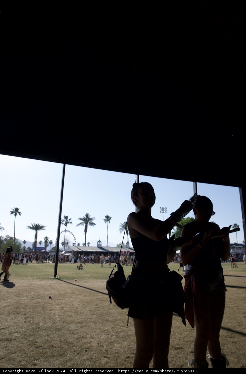 Sunset Silhouettes: Festival Vibes and Friendship