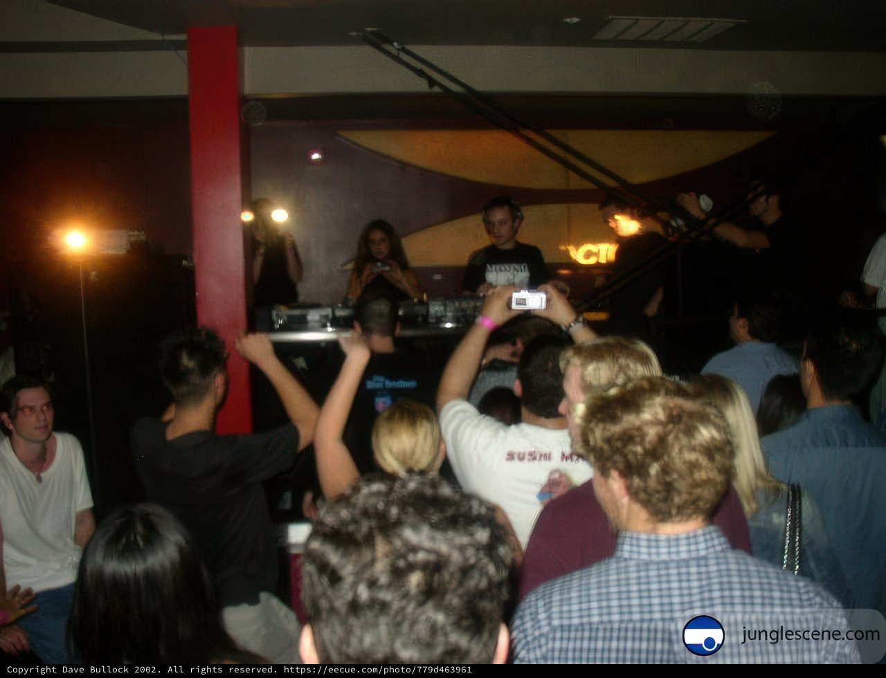 Party People Grooving to DJ beats