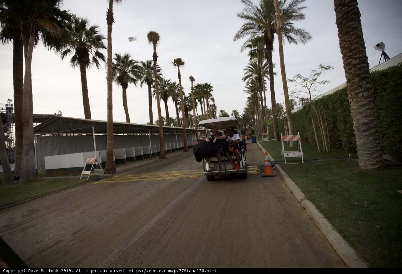 Palm Tree Cart Ride