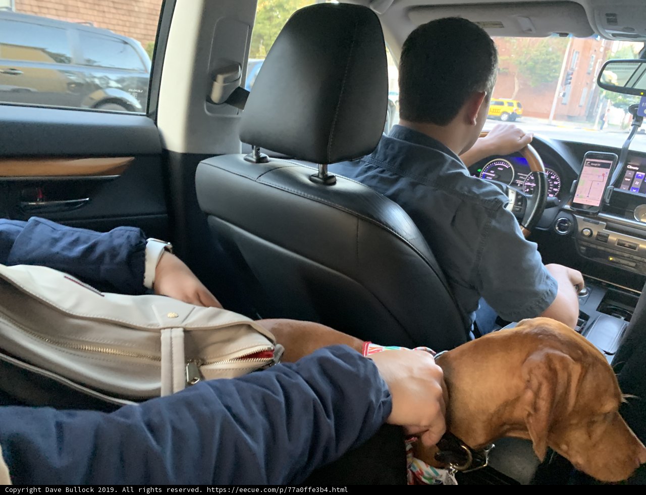 Road Trip Companions