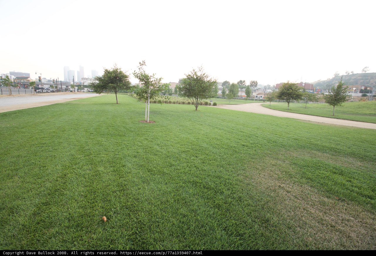 Serenity in the Park