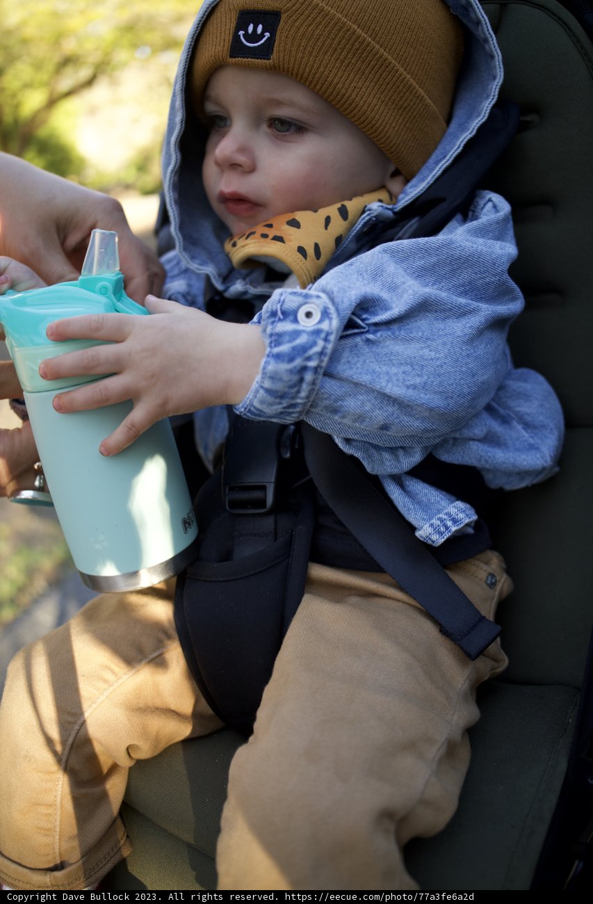 Baby's Day Out: Wesley's Journey to SF Zoo