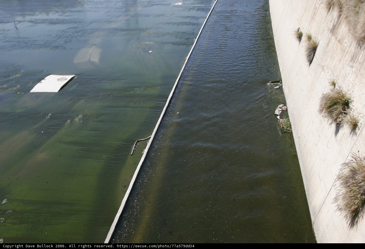 Algae-Filled River