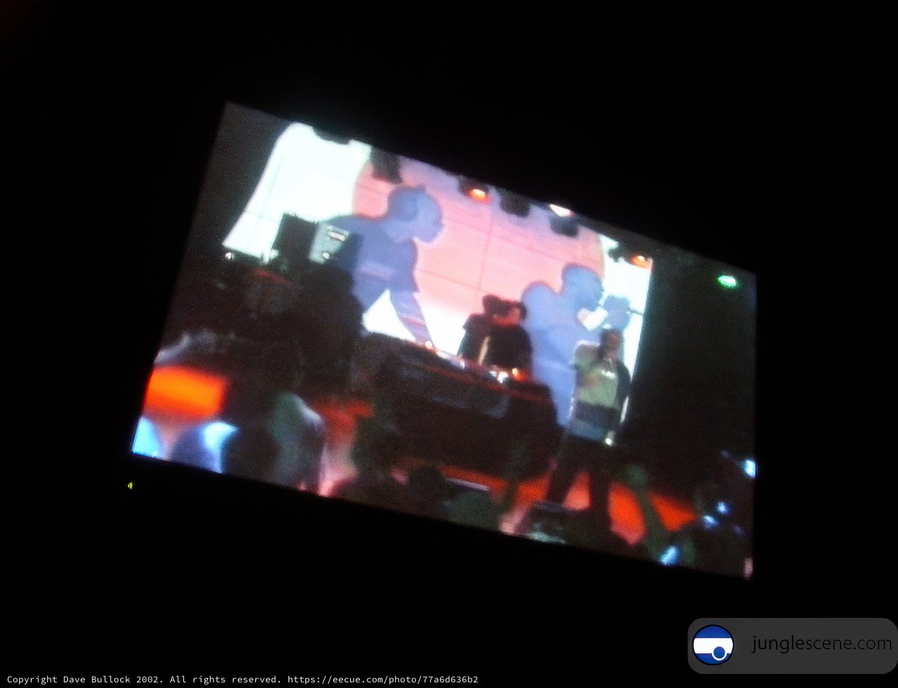 Concert on the Big Screen