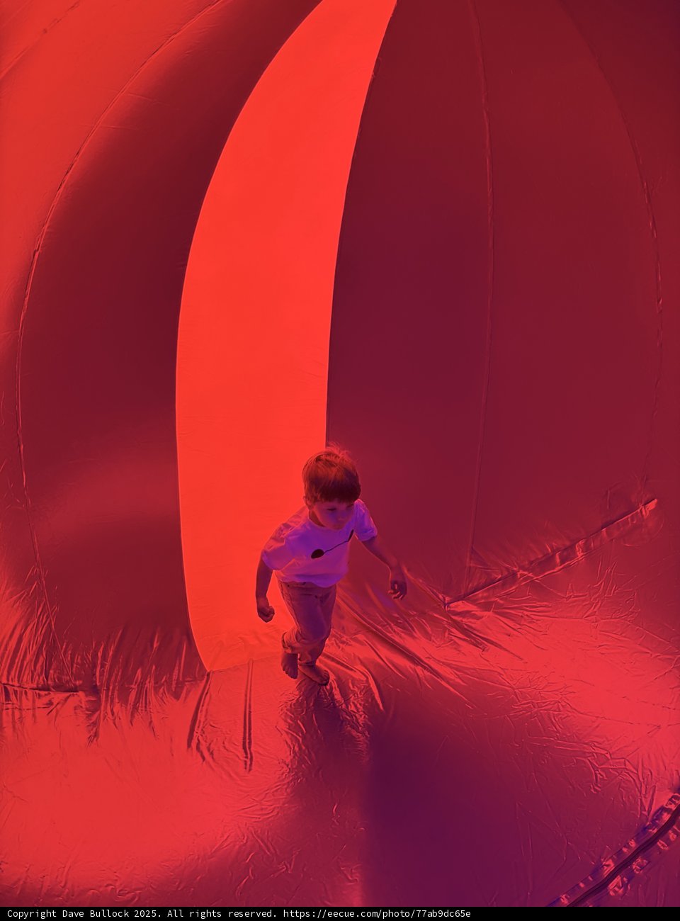 Bubble of Joy