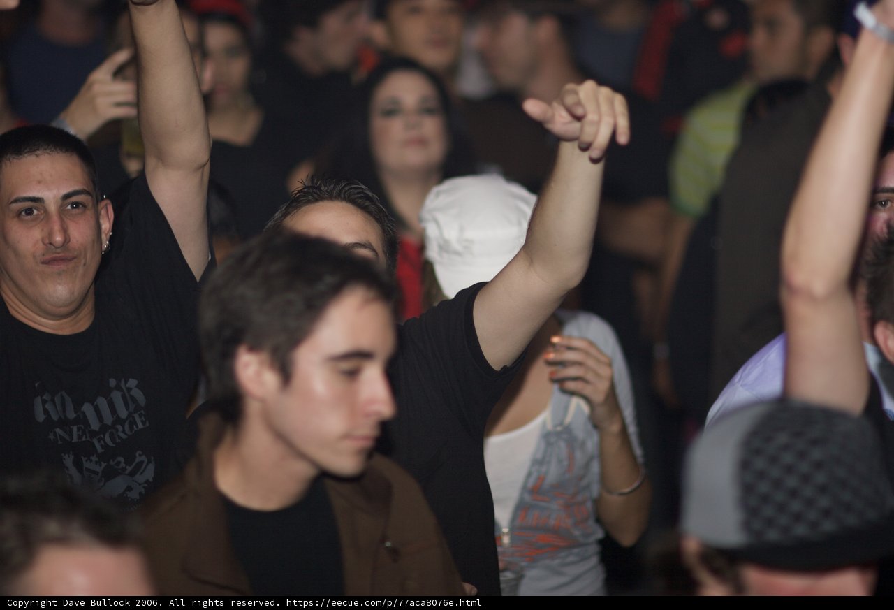 Funktion Shimon 2 Night Club Crowd