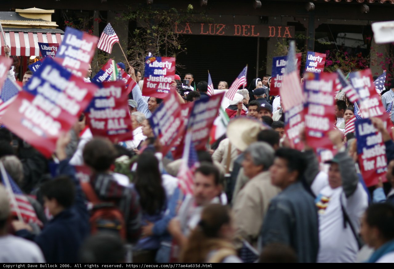Patriotic Protestors March with American Flags and Signs