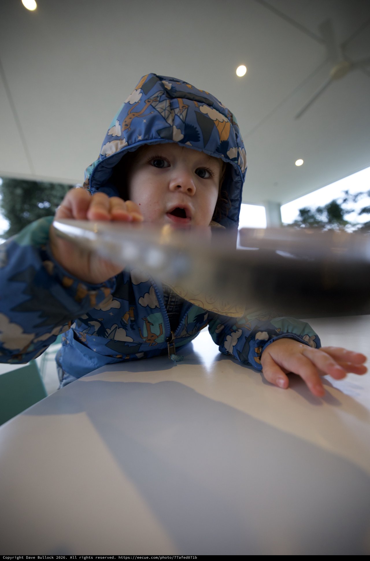 Curious Toddler Reaching Across Restaurant Table