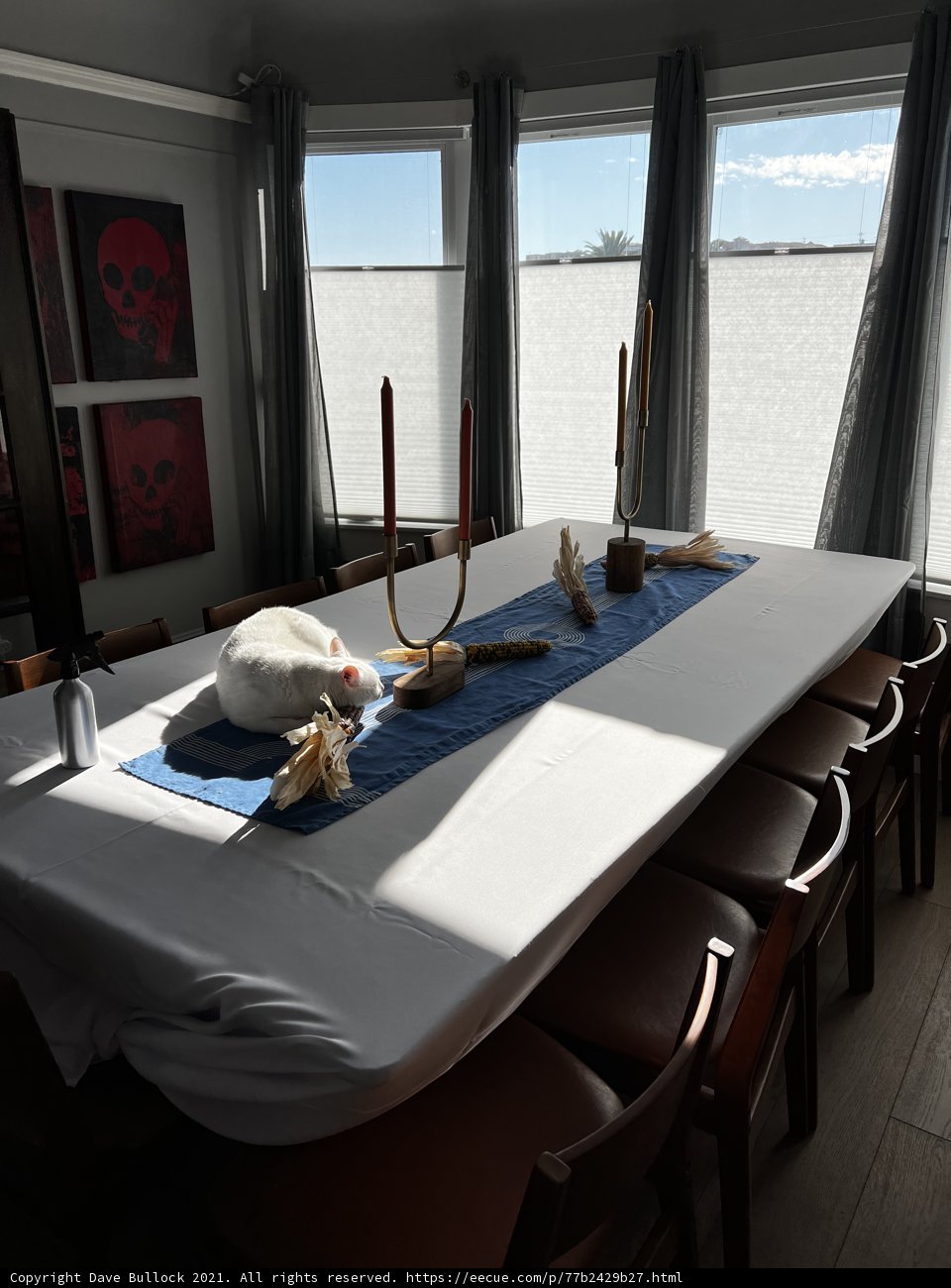 An Intimate Dinner Setting