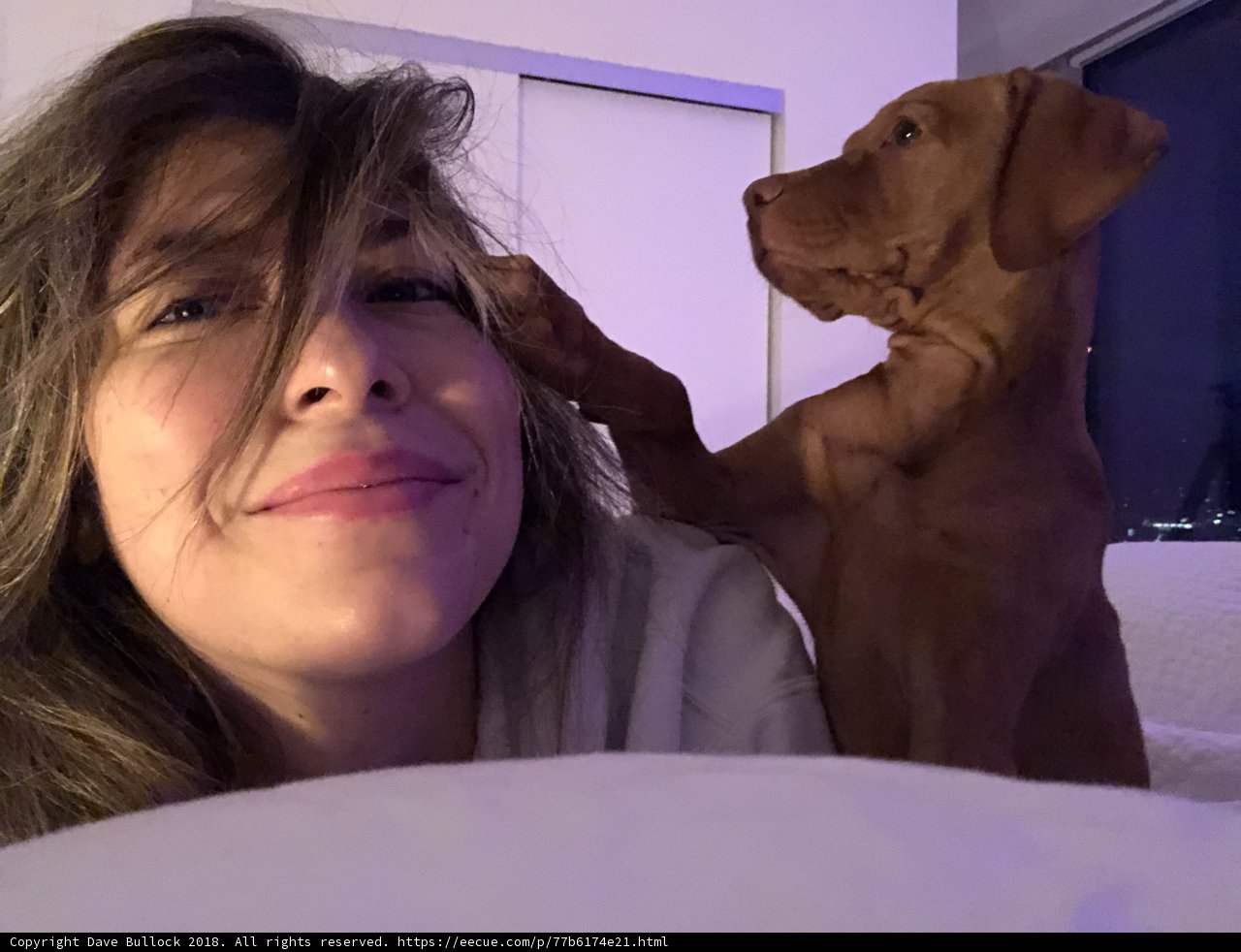 A Woman's Best Friend