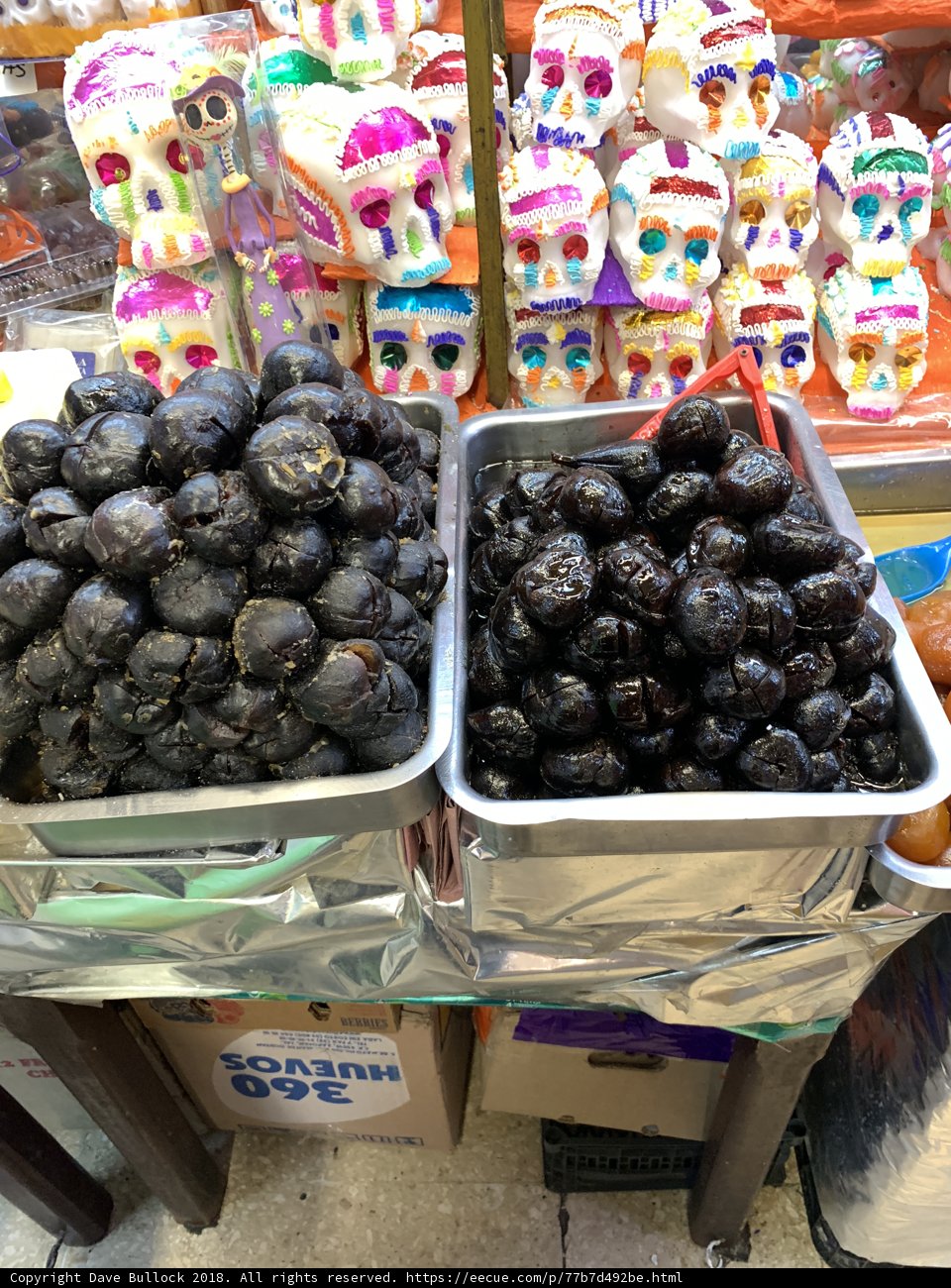 Harvesting the Bounty