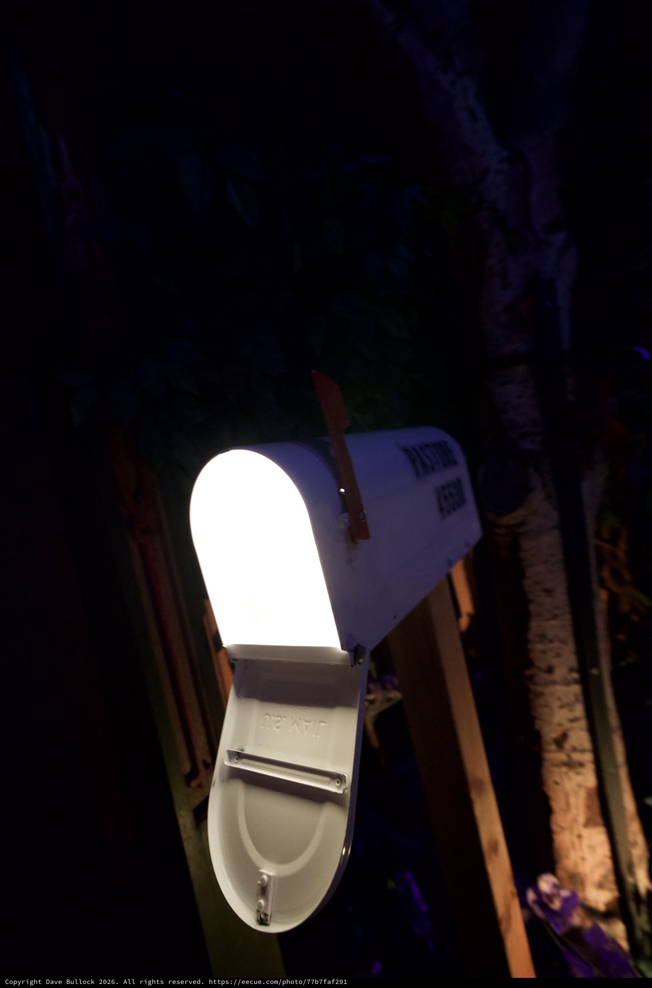 Illuminated Mailbox Against Night Sky and Trees
