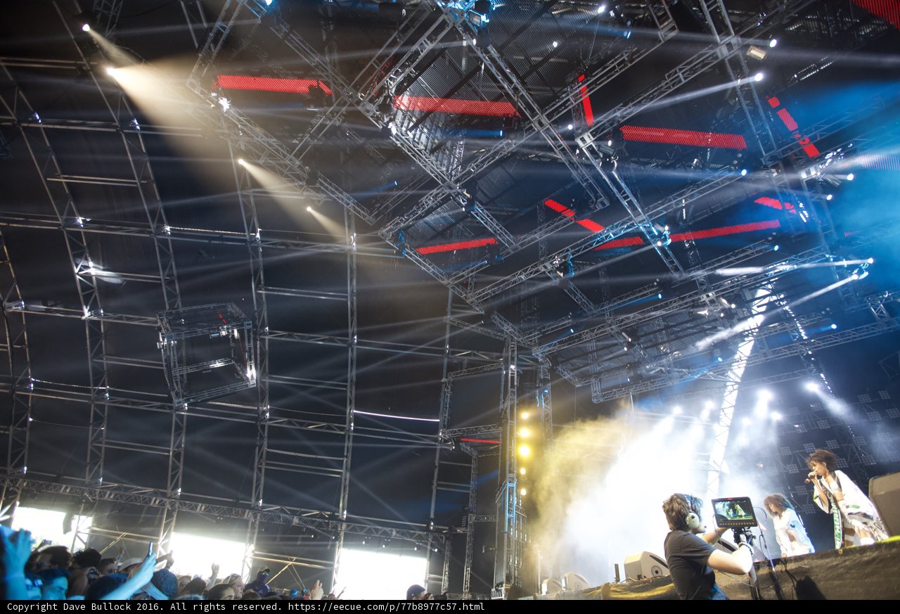 Spotlight on the Crowd