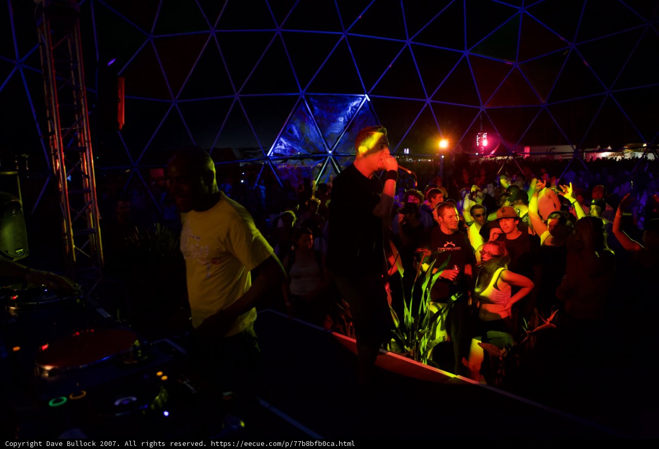 Urban Nightlife Concert Crowd