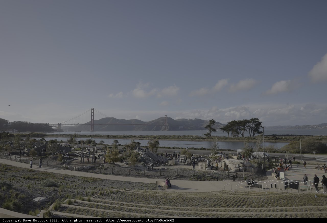 A Golden View of the City